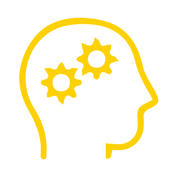 itp wholebrain